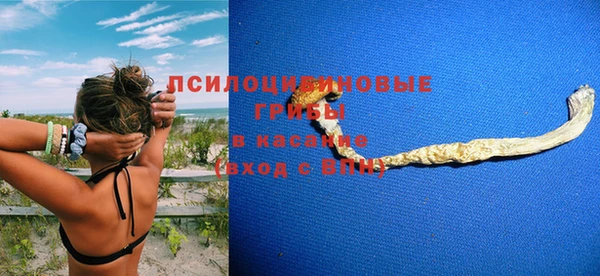 дживик Новодвинск