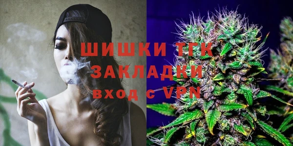 винт Новозыбков
