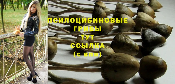 дживик Новодвинск