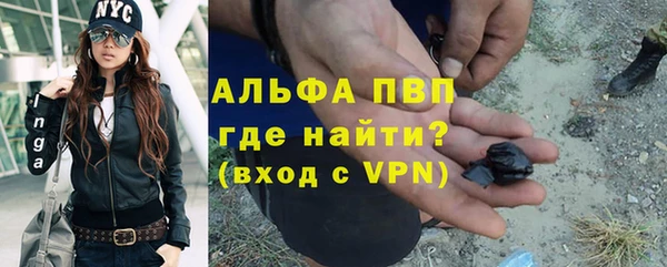 спиды Ельня