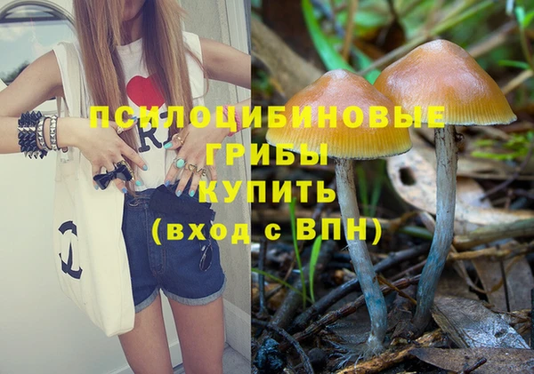 таблы Новокубанск