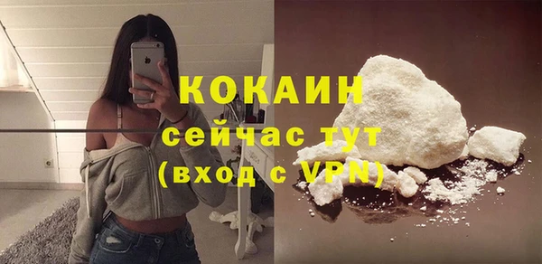 дживик Новодвинск
