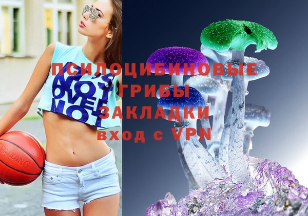 винт Новозыбков