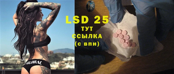 винт Новозыбков