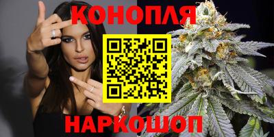 Альфа ПВП Лесосибирск