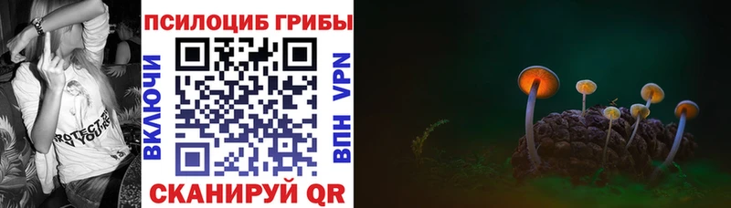 Псилоцибиновые грибы GOLDEN TEACHER купить наркотики сайты Красноярск