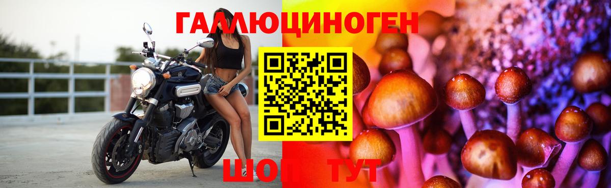 Галлюциногенные грибы Psilocybe Красноярск