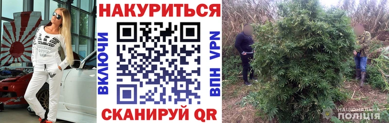 купить  сайты  Красноярск  Бошки Шишки OG Kush 